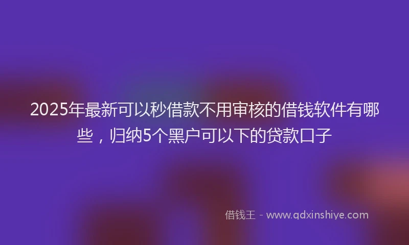 2025年最新可以秒借款不用审核的借钱软件有哪些，归纳5个黑户可以下的贷款口子