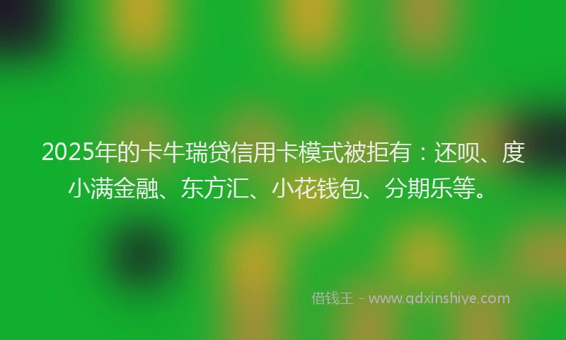 2025年的卡牛瑞贷信用卡模式被拒有：还呗、度小满金融、东方汇、小花钱包、分期乐等。
