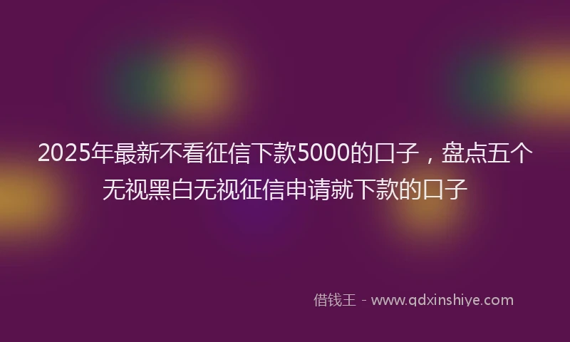 2025年最新不看征信下款5000的口子，盘点五个无视黑白无视征信申请就下款的口子
