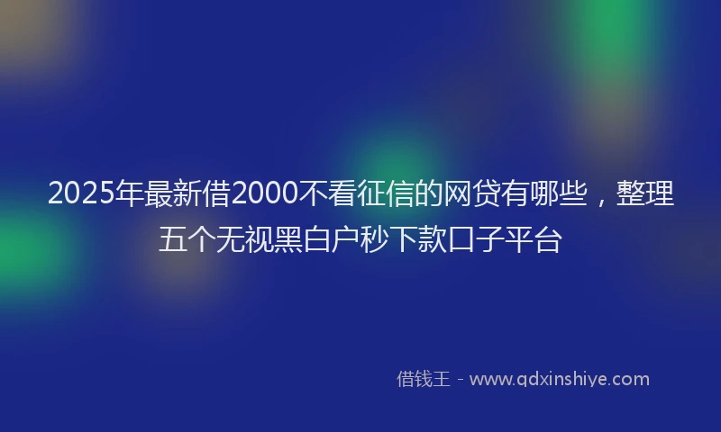2025年最新借2000不看征信的网贷有哪些，整理五个无视黑白户秒下款口子平台