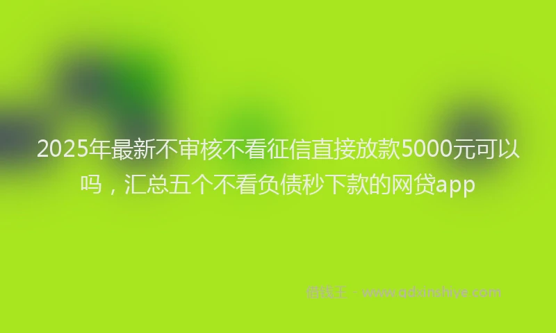 2025年最新不审核不看征信直接放款5000元可以吗，汇总五个不看负债秒下款的网贷app