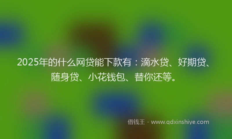 2025年的什么网贷能下款有：滴水贷、好期贷、随身贷、小花钱包、替你还等。