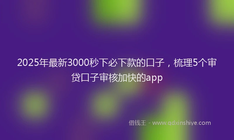 2025年最新3000秒下必下款的口子，梳理5个审贷口子审核加快的app