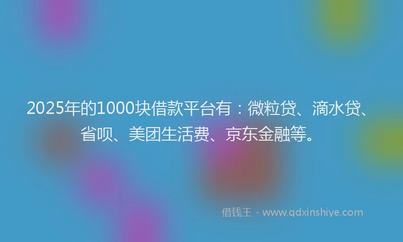 2025年的1000块借款平台有：微粒贷、滴水贷、省呗、美团生活费、京东金融等。