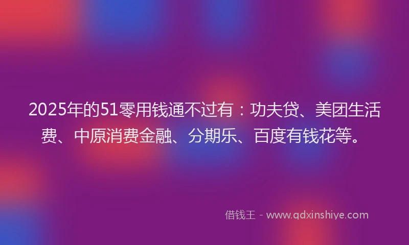 2025年的51零用钱通不过有：功夫贷、美团生活费、中原消费金融、分期乐、百度有钱花等。