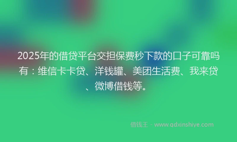 2025年的借贷平台交担保费秒下款的口子可靠吗有：维信卡卡贷、洋钱罐、美团生活费、我来贷、微博借钱等。