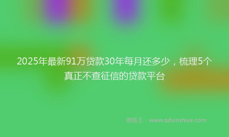 2025年最新91万贷款30年每月还多少，梳理5个真正不查征信的贷款平台