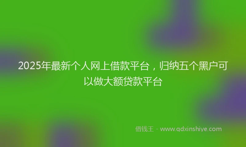 2025年最新个人网上借款平台，归纳五个黑户可以做大额贷款平台