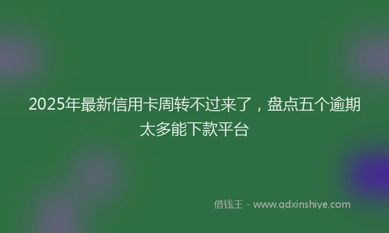 2025年最新信用卡周转不过来了，盘点五个逾期太多能下款平台