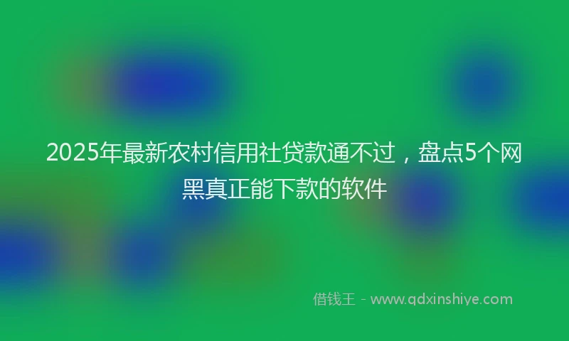 2025年最新农村信用社贷款通不过，盘点5个网黑真正能下款的软件