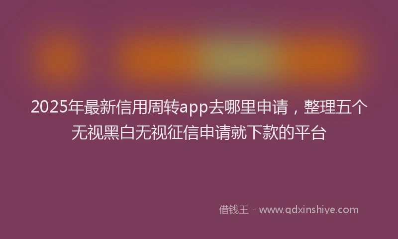 2025年最新信用周转app去哪里申请，整理五个无视黑白无视征信申请就下款的平台