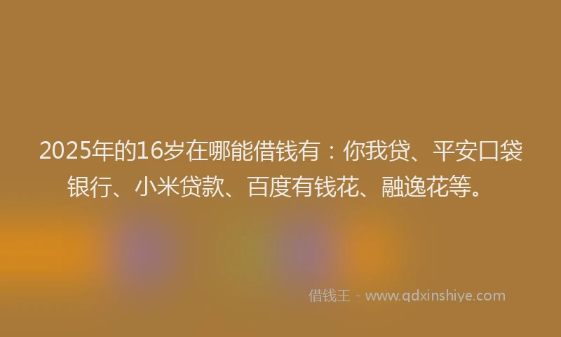2025年的16岁在哪能借钱有：你我贷、平安口袋银行、小米贷款、百度有钱花、融逸花等。