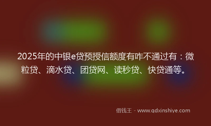 2025年的中银e贷预授信额度有咋不通过有：微粒贷、滴水贷、团贷网、读秒贷、快贷通等。