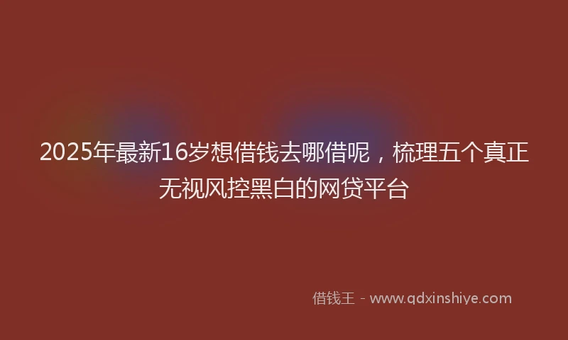 2025年最新16岁想借钱去哪借呢，梳理五个真正无视风控黑白的网贷平台