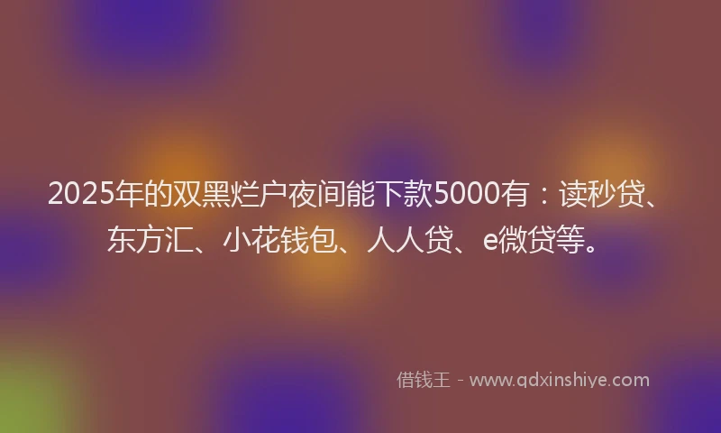 2025年的双黑烂户夜间能下款5000有：读秒贷、东方汇、小花钱包、人人贷、e微贷等。