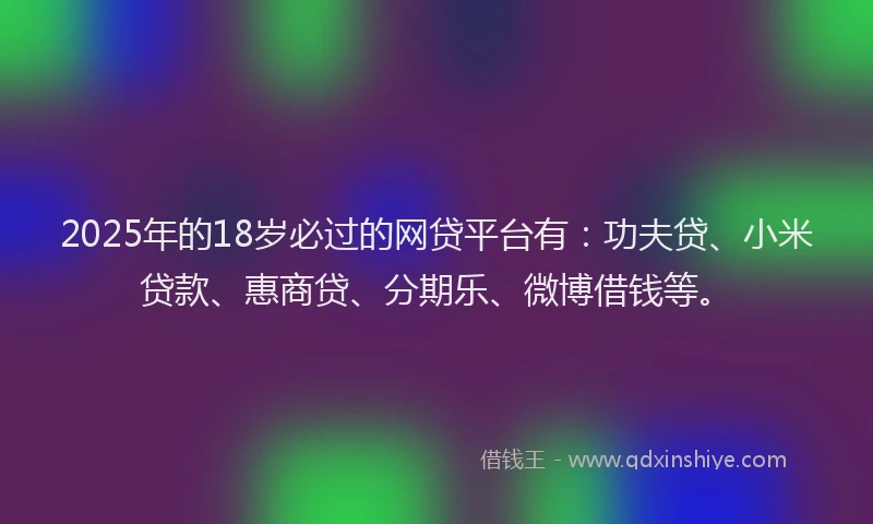 2025年的18岁必过的网贷平台有：功夫贷、小米贷款、惠商贷、分期乐、微博借钱等。