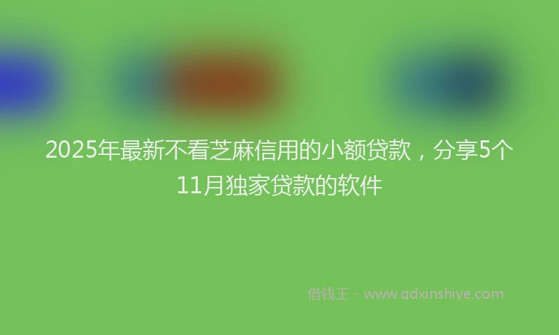 2025年最新不看芝麻信用的小额贷款，分享5个11月独家贷款的软件
