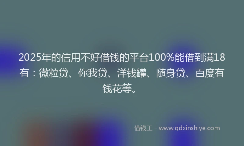 2025年的信用不好借钱的平台100%能借到满18有：微粒贷、你我贷、洋钱罐、随身贷、百度有钱花等。