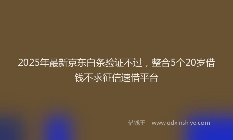 2025年最新京东白条验证不过，整合5个20岁借钱不求征信速借平台