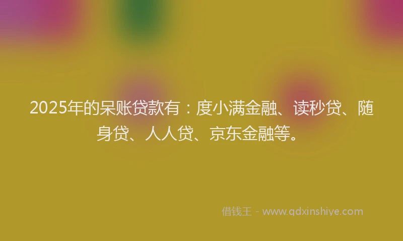 2025年的呆账贷款有：度小满金融、读秒贷、随身贷、人人贷、京东金融等。