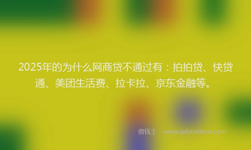 2025年的为什么网商贷不通过有：拍拍贷、快贷通、美团生活费、拉卡拉、京东金融等。