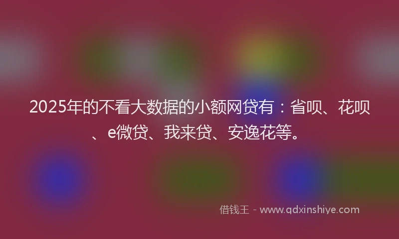 2025年的不看大数据的小额网贷有：省呗、花呗、e微贷、我来贷、安逸花等。