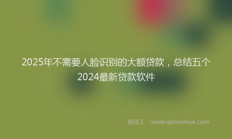 2025年不需要人脸识别的大额贷款，总结五个2024最新贷款软件