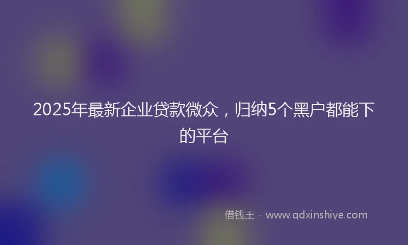 2025年最新企业贷款微众，归纳5个黑户都能下的平台