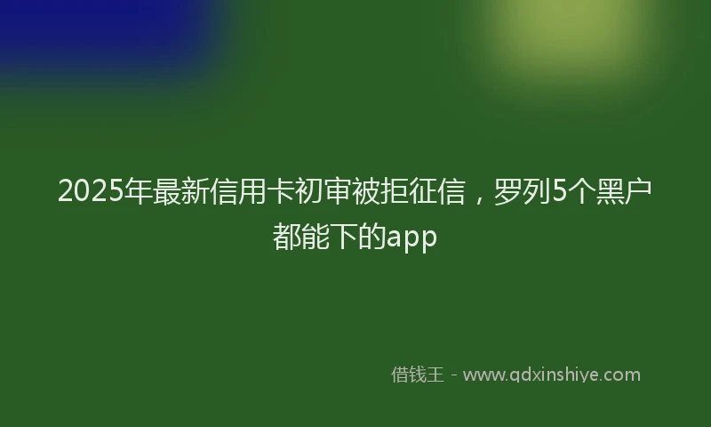 2025年最新信用卡初审被拒征信，罗列5个黑户都能下的app