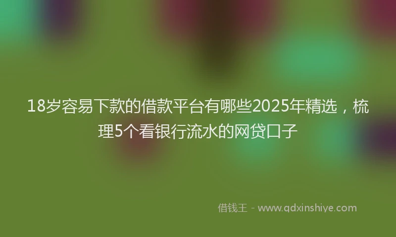 18岁容易下款的借款平台有哪些2025年精选，梳理5个看银行流水的网贷口子