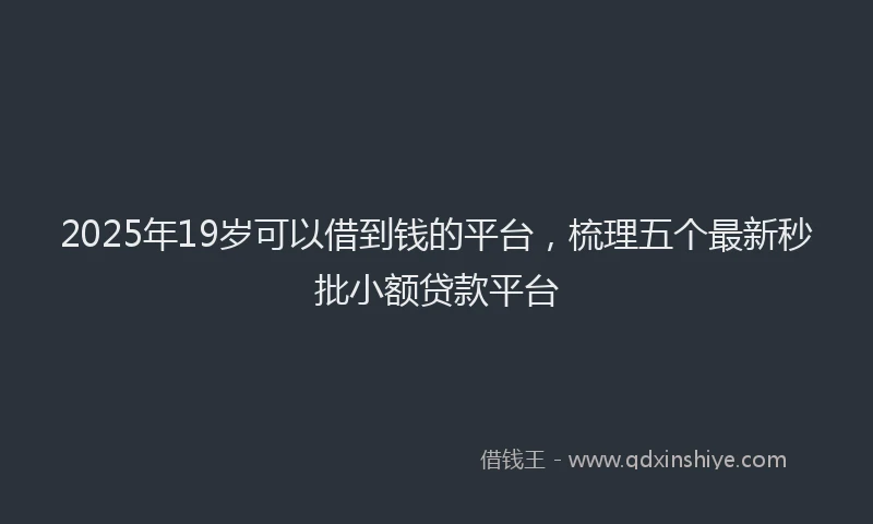 2025年19岁可以借到钱的平台，梳理五个最新秒批小额贷款平台
