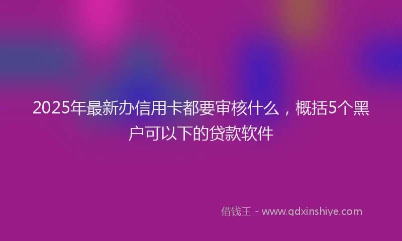 2025年最新办信用卡都要审核什么，概括5个黑户可以下的贷款软件