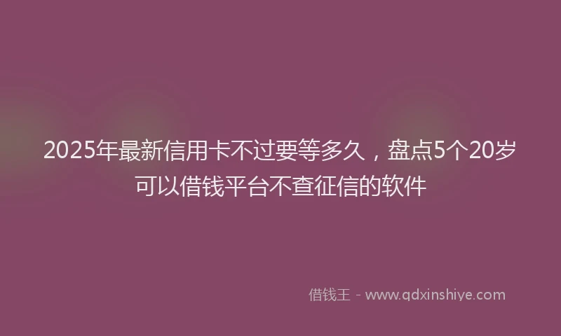 2025年最新信用卡不过要等多久，盘点5个20岁可以借钱平台不查征信的软件