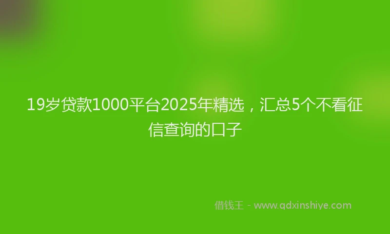 19岁贷款1000平台2025年精选，汇总5个不看征信查询的口子
