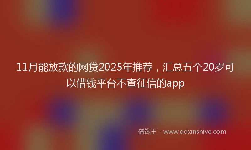 11月能放款的网贷2025年推荐，汇总五个20岁可以借钱平台不查征信的app