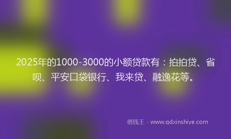 2025年的1000-3000的小额贷款有：拍拍贷、省呗、平安口袋银行、我来贷、融逸花等。