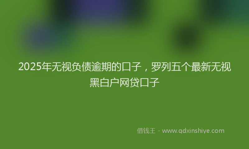 2025年无视负债逾期的口子，罗列五个最新无视黑白户网贷口子