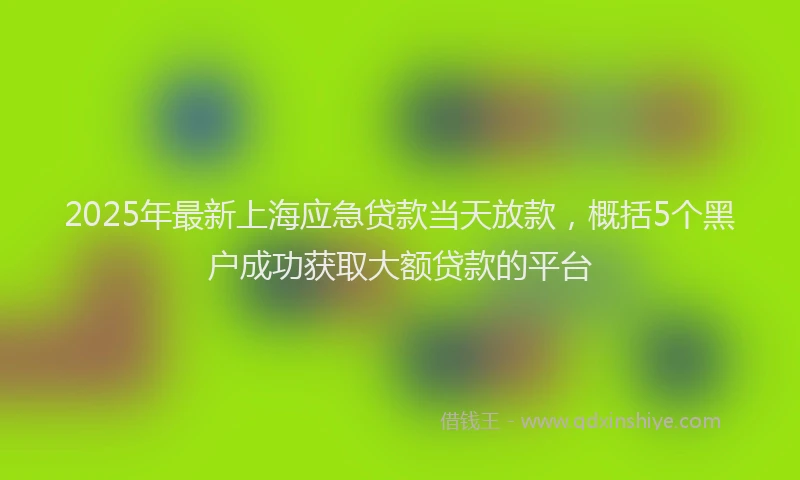 2025年最新上海应急贷款当天放款，概括5个黑户成功获取大额贷款的平台