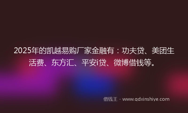 2025年的凯越易购厂家金融有：功夫贷、美团生活费、东方汇、平安i贷、微博借钱等。