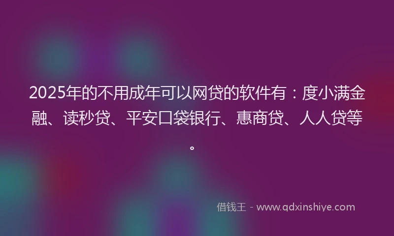 2025年的不用成年可以网贷的软件有：度小满金融、读秒贷、平安口袋银行、惠商贷、人人贷等。