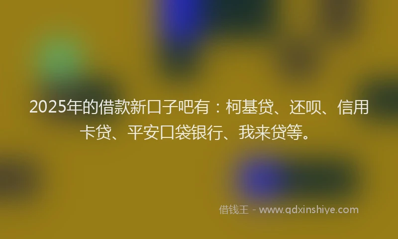 2025年的借款新口子吧有：柯基贷、还呗、信用卡贷、平安口袋银行、我来贷等。