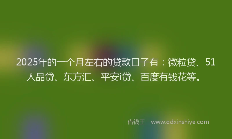 2025年的一个月左右的贷款口子有：微粒贷、51人品贷、东方汇、平安i贷、百度有钱花等。