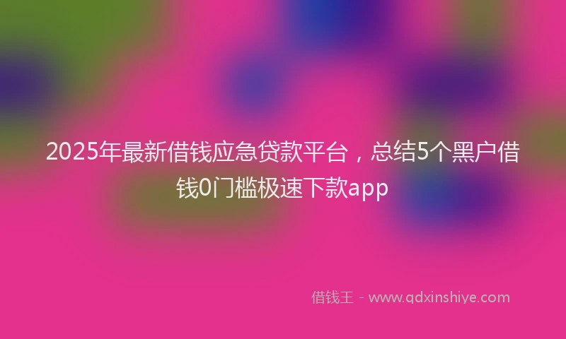 2025年最新借钱应急贷款平台，总结5个黑户借钱0门槛极速下款app