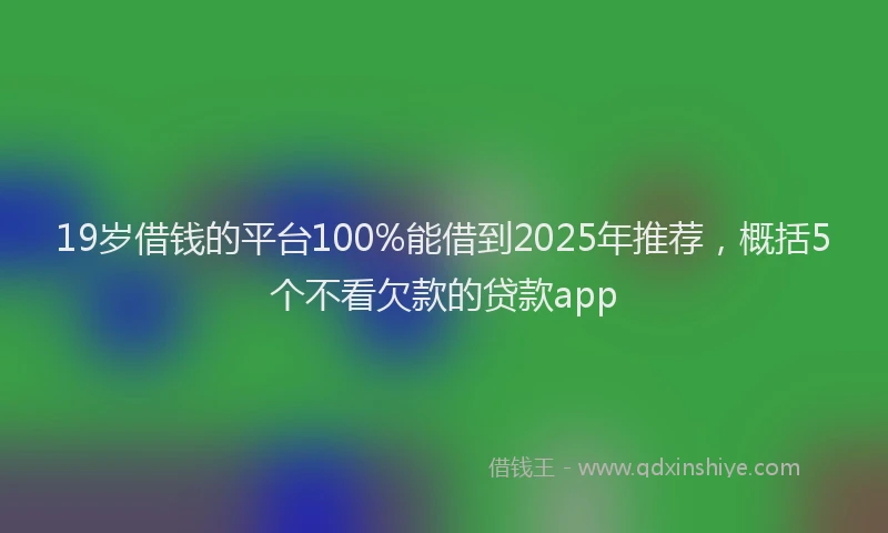 19岁借钱的平台100%能借到2025年推荐，概括5个不看欠款的贷款app