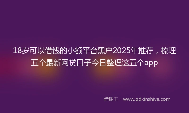 18岁可以借钱的小额平台黑户2025年推荐，梳理五个最新网贷口子今日整理这五个app