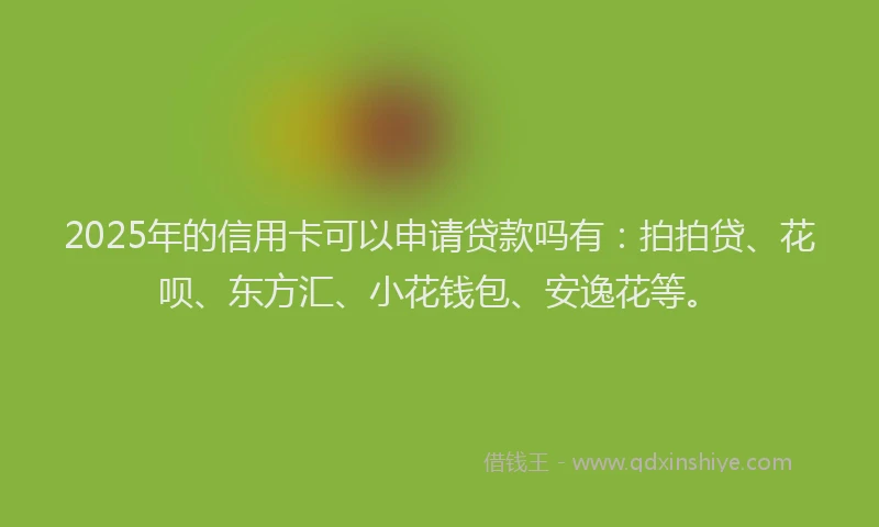 2025年的信用卡可以申请贷款吗有：拍拍贷、花呗、东方汇、小花钱包、安逸花等。