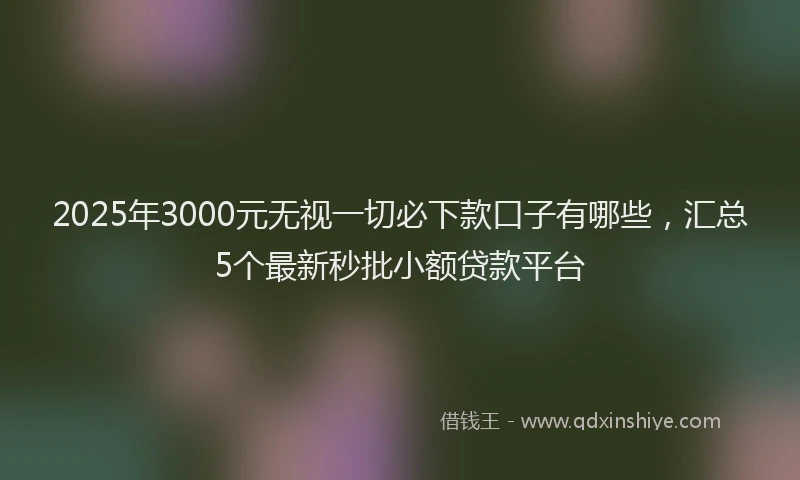 2025年3000元无视一切必下款口子有哪些，汇总5个最新秒批小额贷款平台