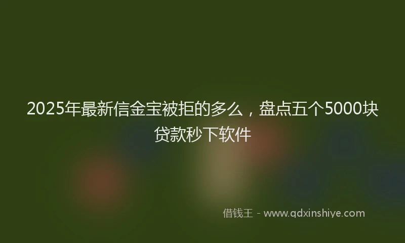 2025年最新信金宝被拒的多么，盘点五个5000块贷款秒下软件