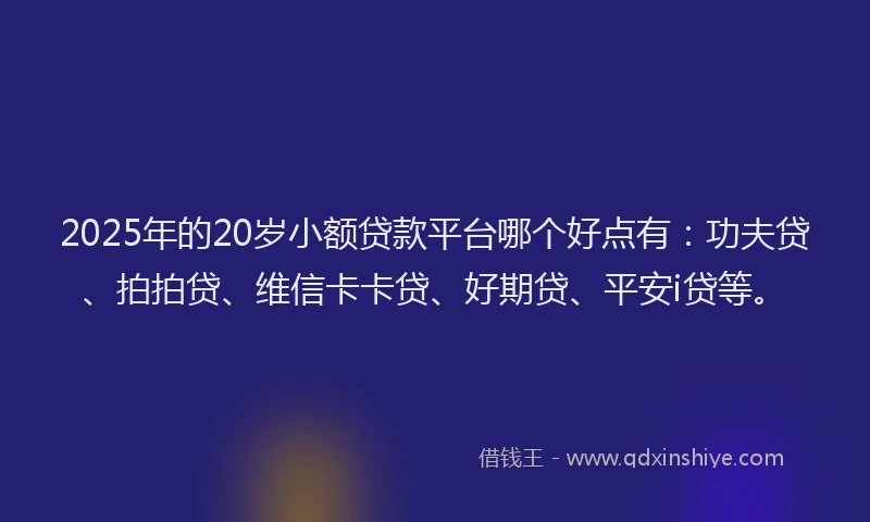 2025年的20岁小额贷款平台哪个好点有：功夫贷、拍拍贷、维信卡卡贷、好期贷、平安i贷等。