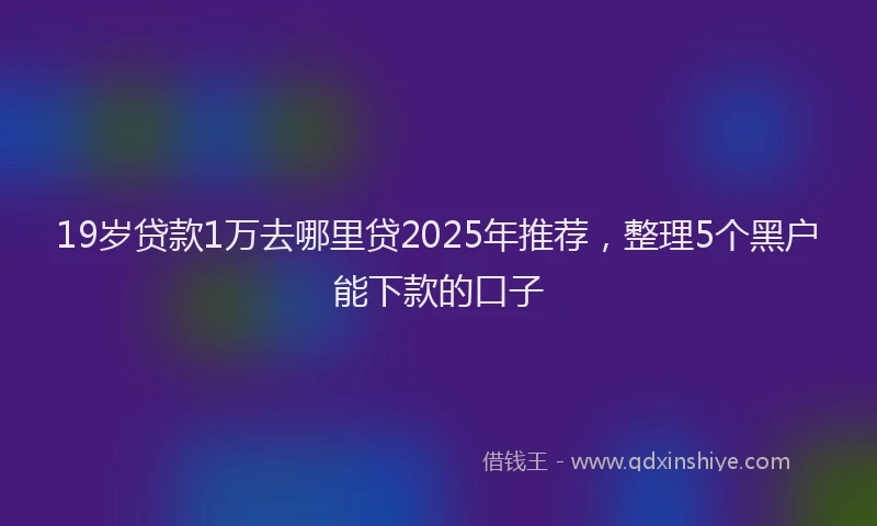 19岁贷款1万去哪里贷2025年推荐，整理5个黑户能下款的口子